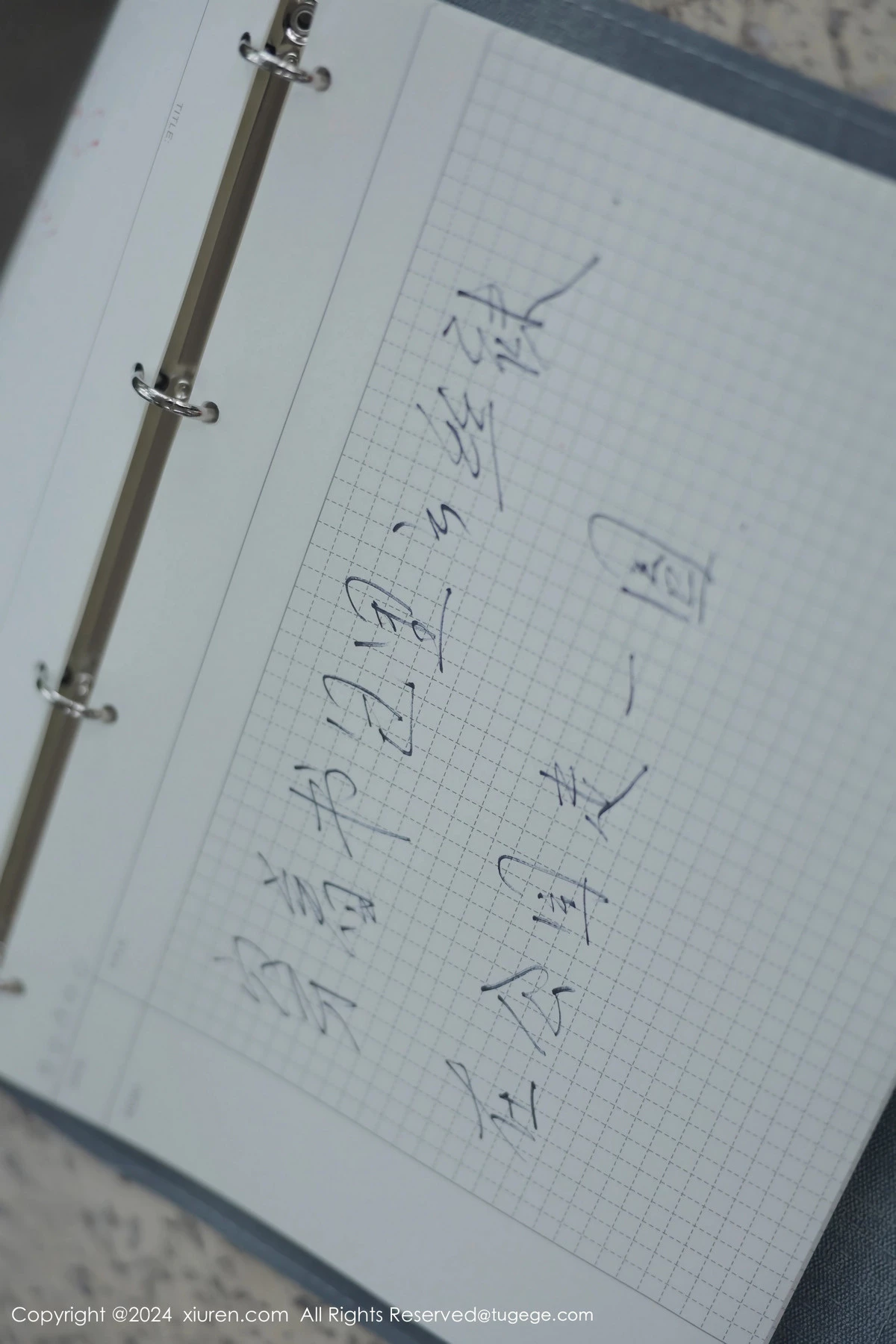 Xrmnw.Vip_小薯条_合集 Xrmnw.Vip_小薯条_写真