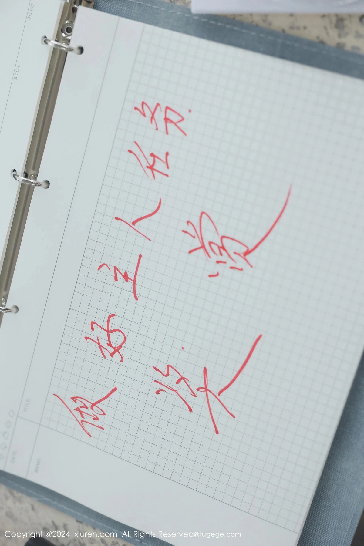 Xrmnw.Vip_小薯条_合集 Xrmnw.Vip_小薯条_写真